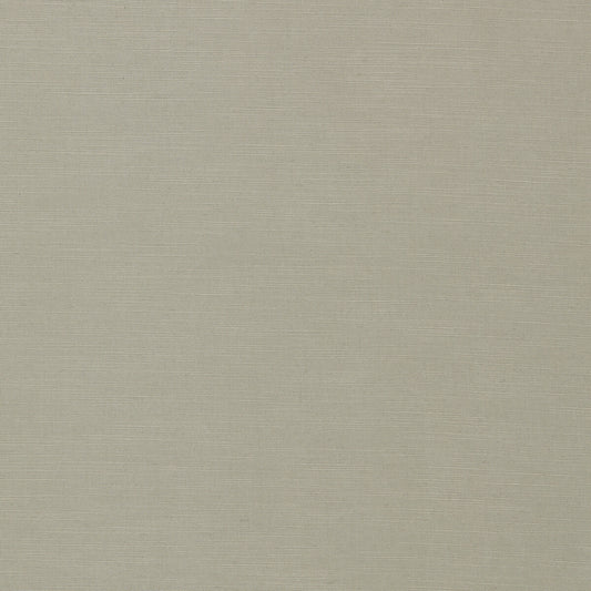 CLARKE AND CLARKE PARADISO DOVE