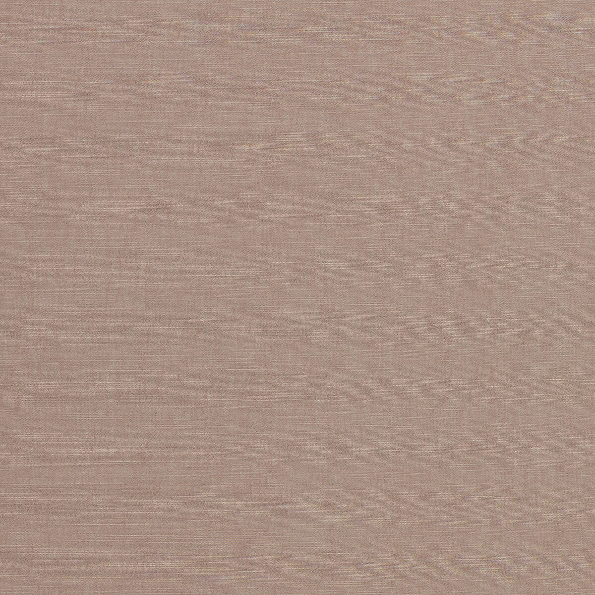 CLARKE AND CLARKE PARADISO HEATHER