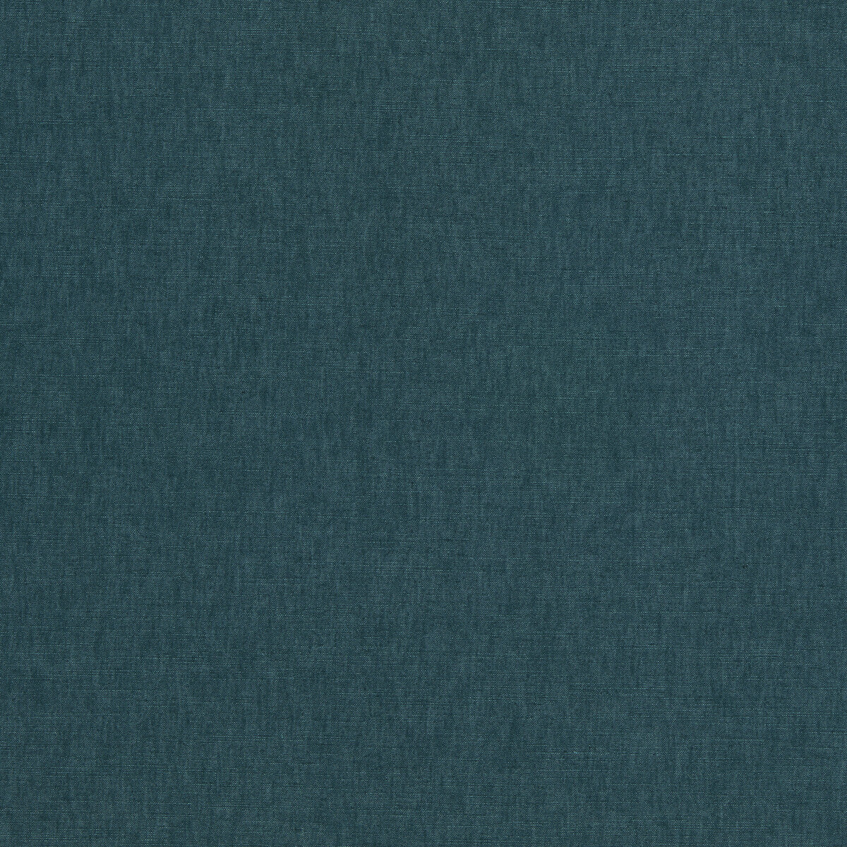 CLARKE AND CLARKE PARADISO KINGFISHER