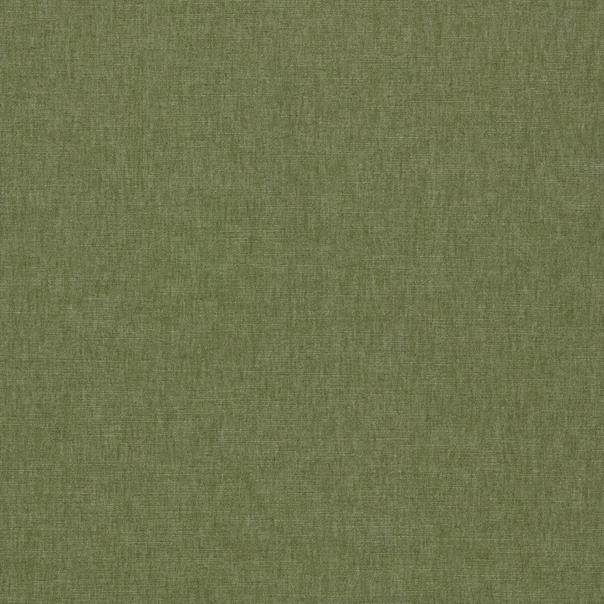 CLARKE AND CLARKE PARADISO OLIVE