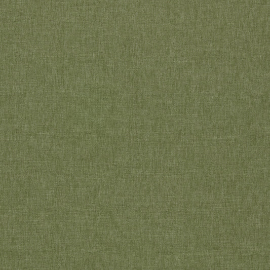 CLARKE AND CLARKE PARADISO OLIVE