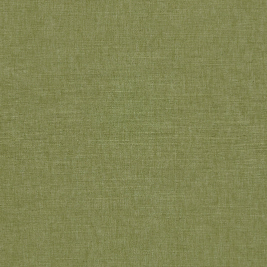 CLARKE AND CLARKE PARADISO PALM