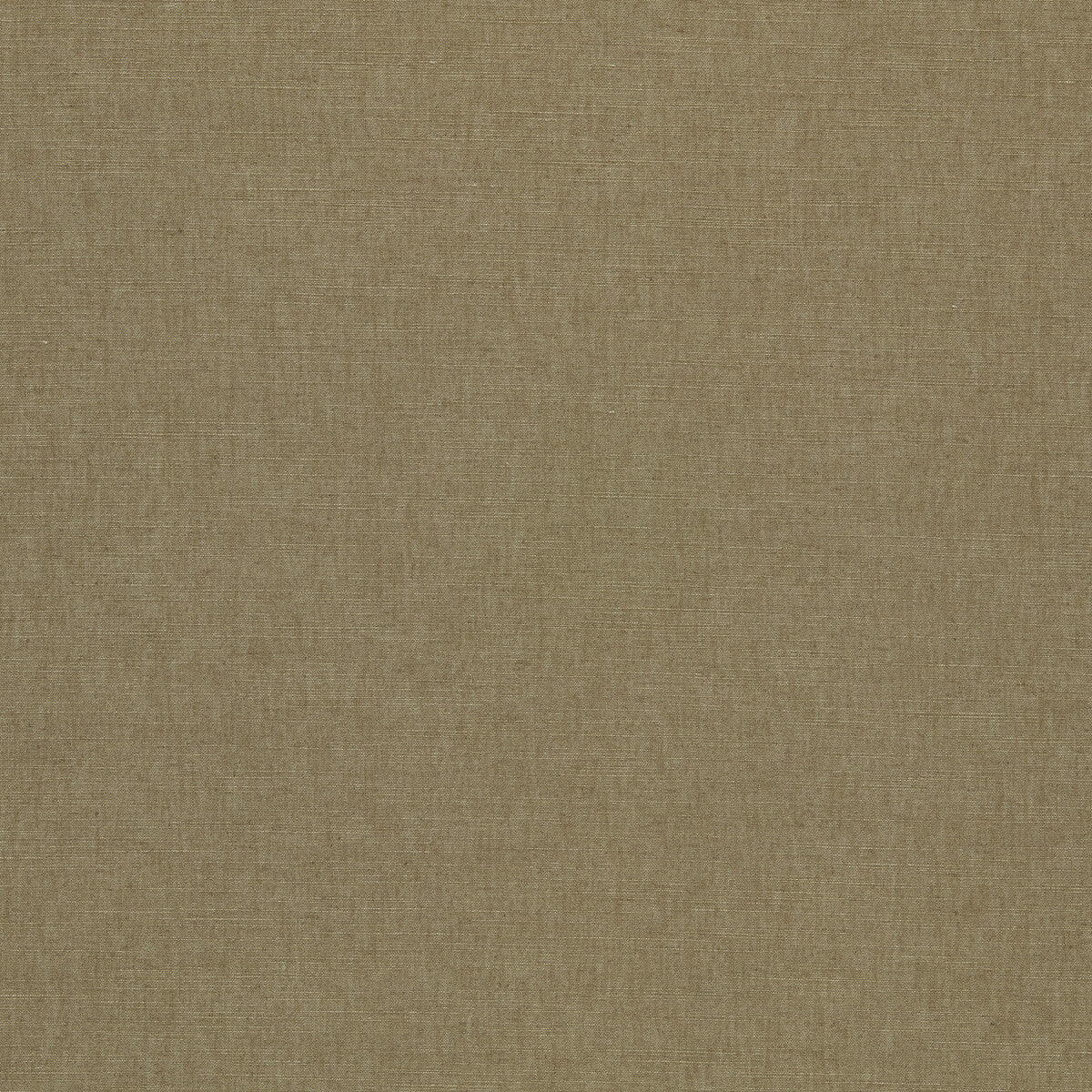 CLARKE AND CLARKE PARADISO SESAME