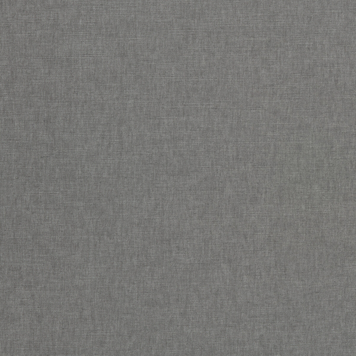 CLARKE AND CLARKE PARADISO STORM