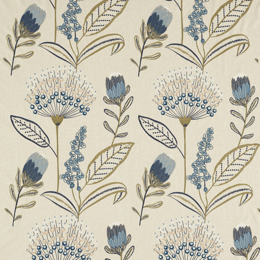 CLARKE AND CLARKE PROTINI DENIM