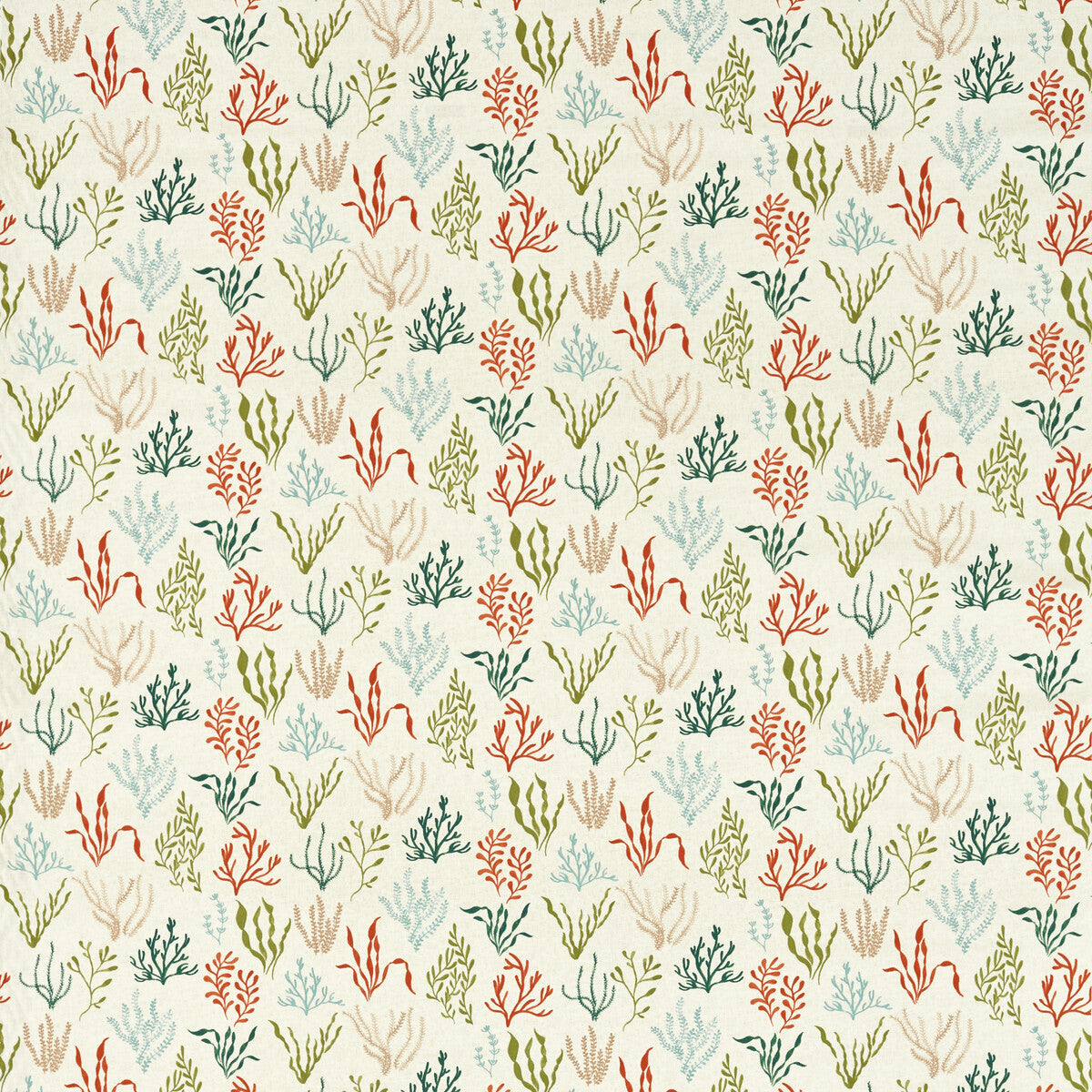 CLARKE AND CLARKE PORTSIDE CORAL/MINERAL