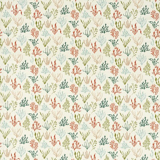 CLARKE AND CLARKE PORTSIDE CORAL/MINERAL