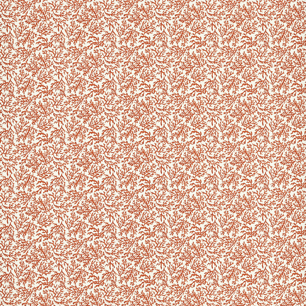 CLARKE AND CLARKE SEABED CORAL