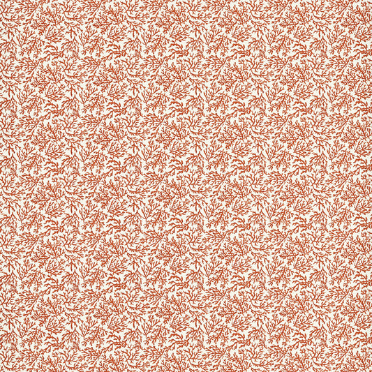 CLARKE AND CLARKE SEABED CORAL