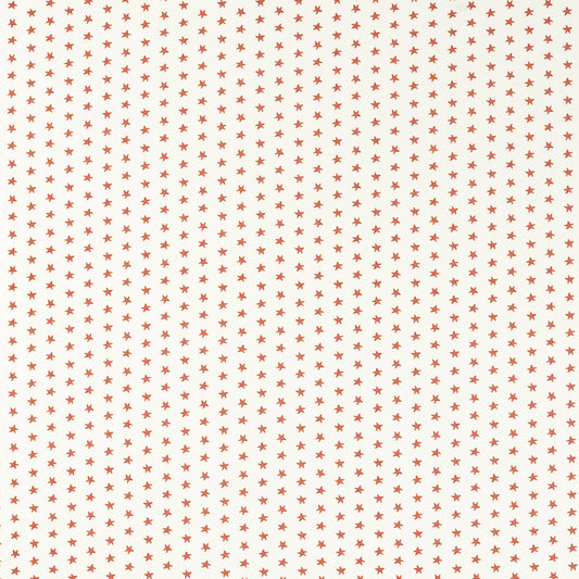 CLARKE AND CLARKE SEASTAR CORAL