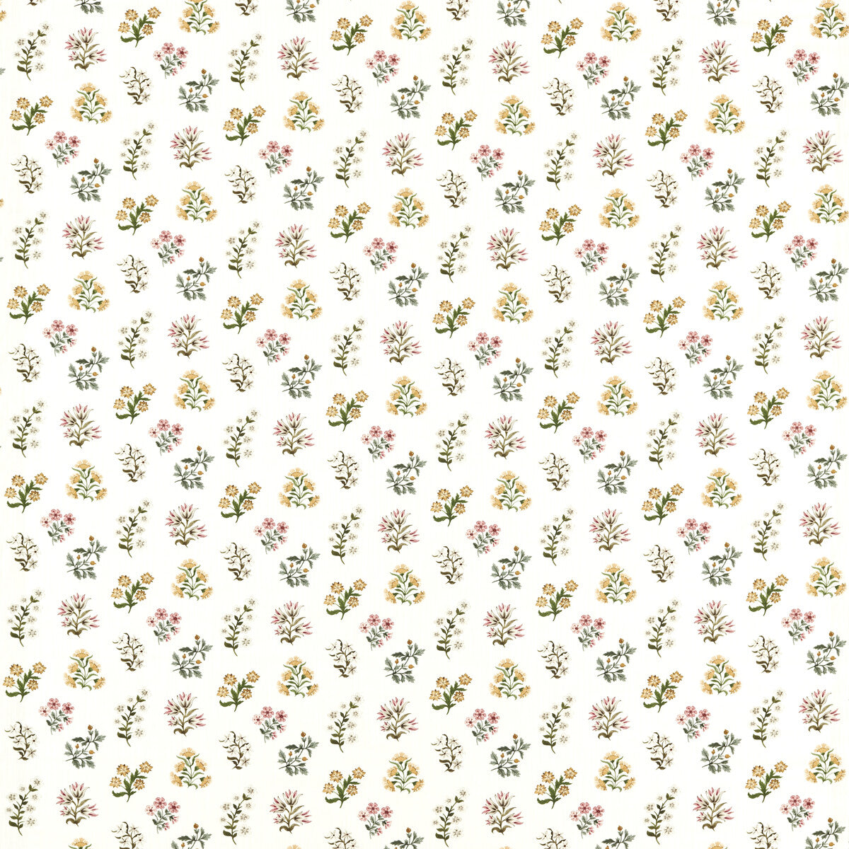 CLARKE AND CLARKE LEIDEN BLUSH OCHRE