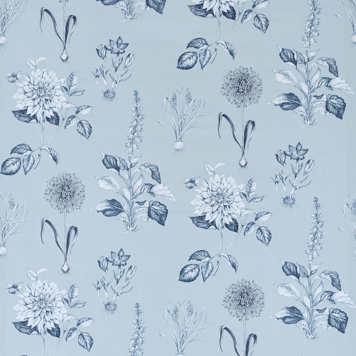 CLARKE AND CLARKE ROSERAIE DENIM