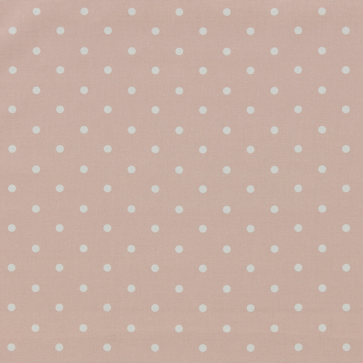 CLARKE AND CLARKE DOTTY BLUSH