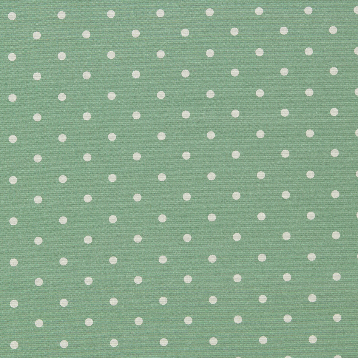 CLARKE AND CLARKE DOTTY JADE