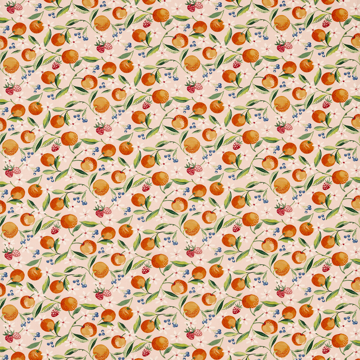 CLARKE AND CLARKE ORANGE BLOSSOM BLUSH