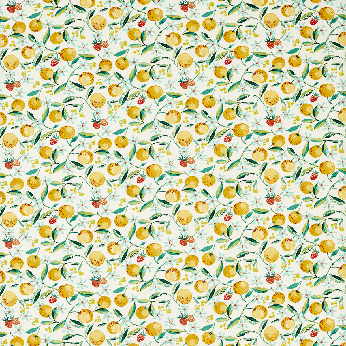 CLARKE AND CLARKE ORANGE BLOSSOM CITRON