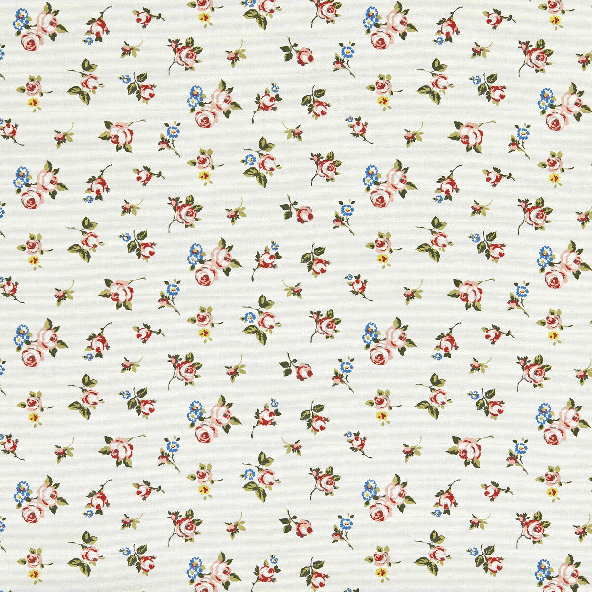 CLARKE AND CLARKE ROSEBUD SPICE