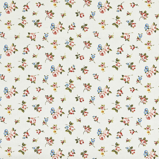 CLARKE AND CLARKE ROSEBUD SPICE