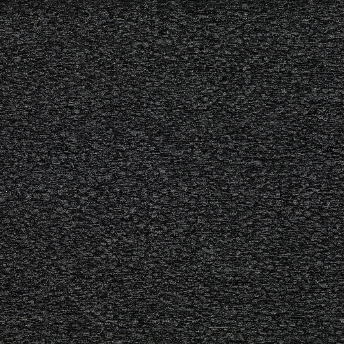 CLARKE AND CLARKE CASTUS EBONY