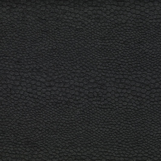 CLARKE AND CLARKE CASTUS EBONY