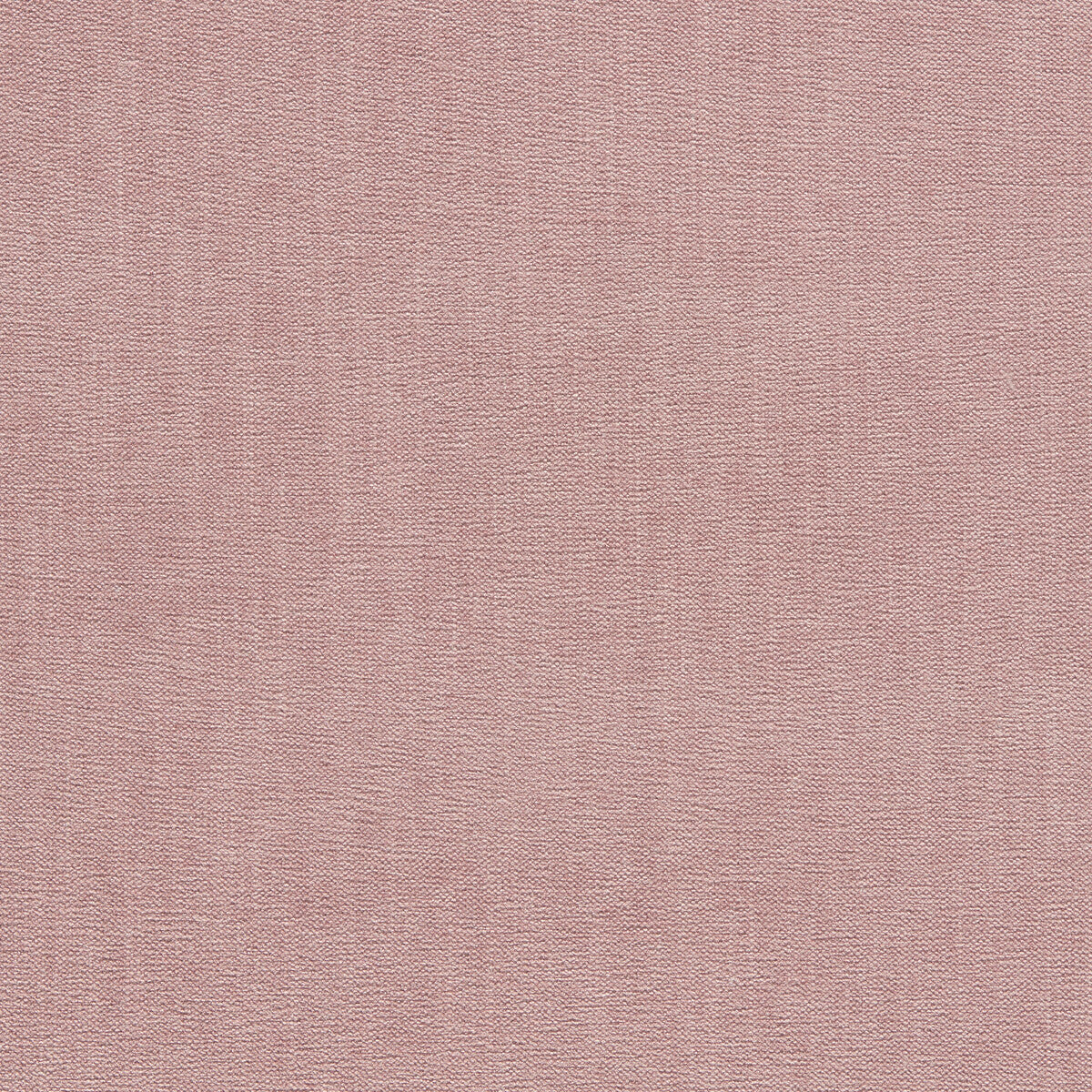CLARKE AND CLARKE JAIPUR BLUSH