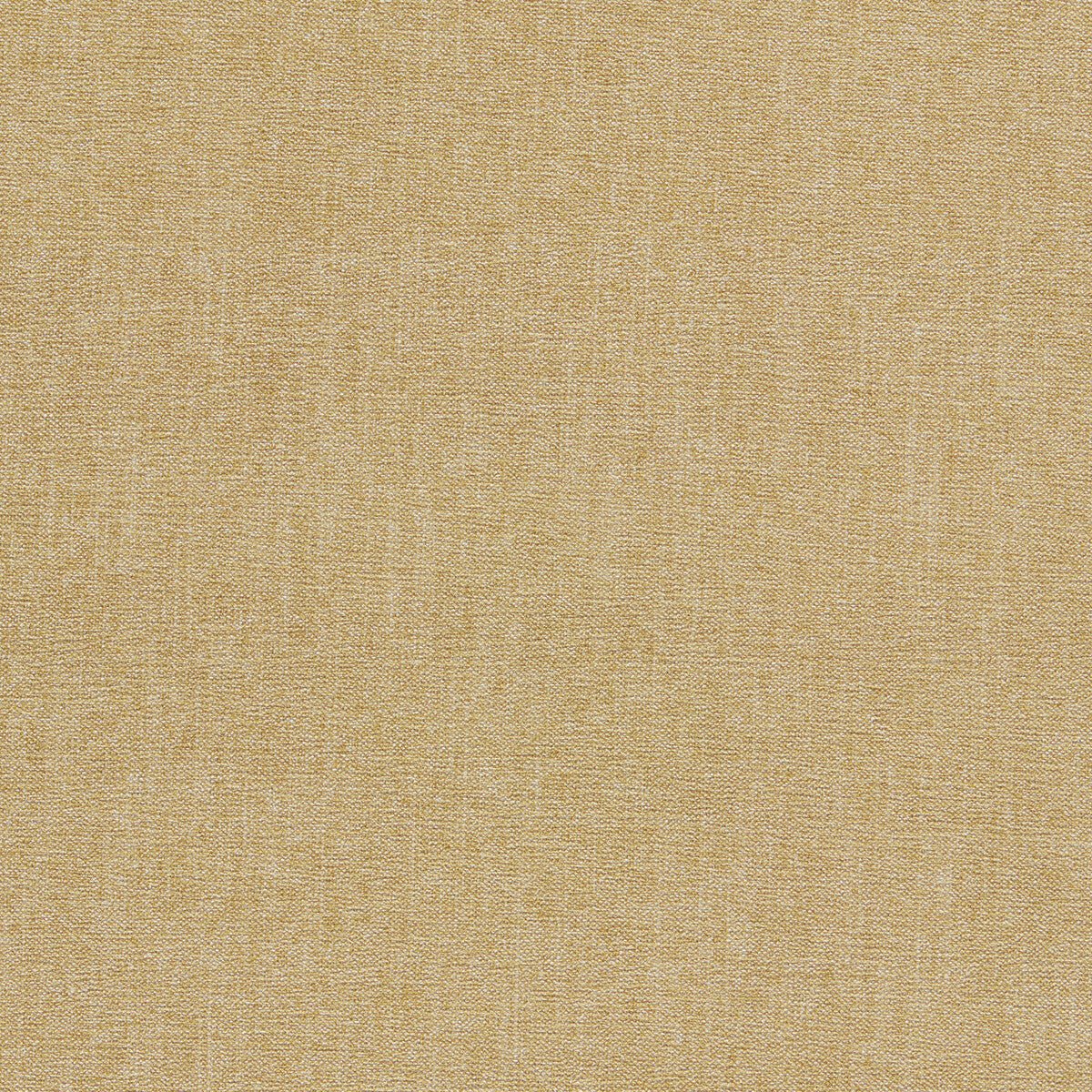 CLARKE AND CLARKE JAIPUR CAMEL