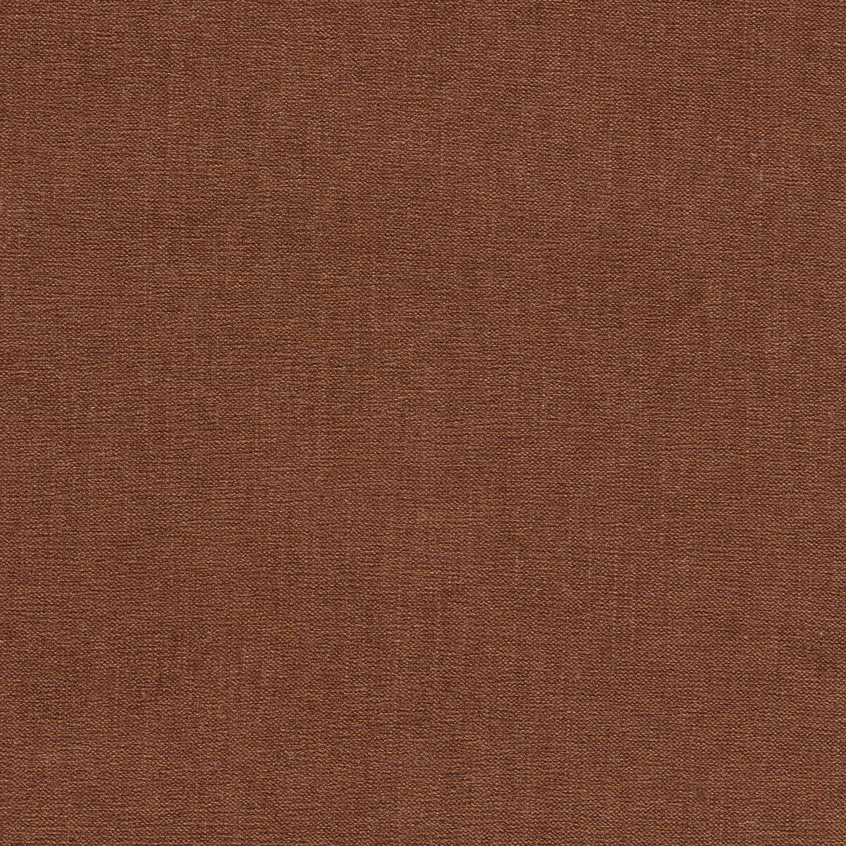 CLARKE AND CLARKE JAIPUR CINNAMON