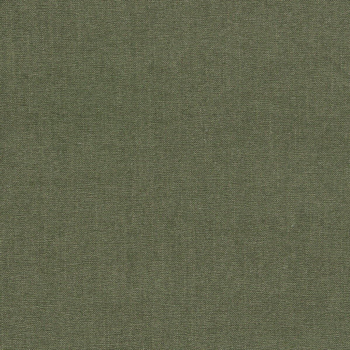 CLARKE AND CLARKE JAIPUR MOSS