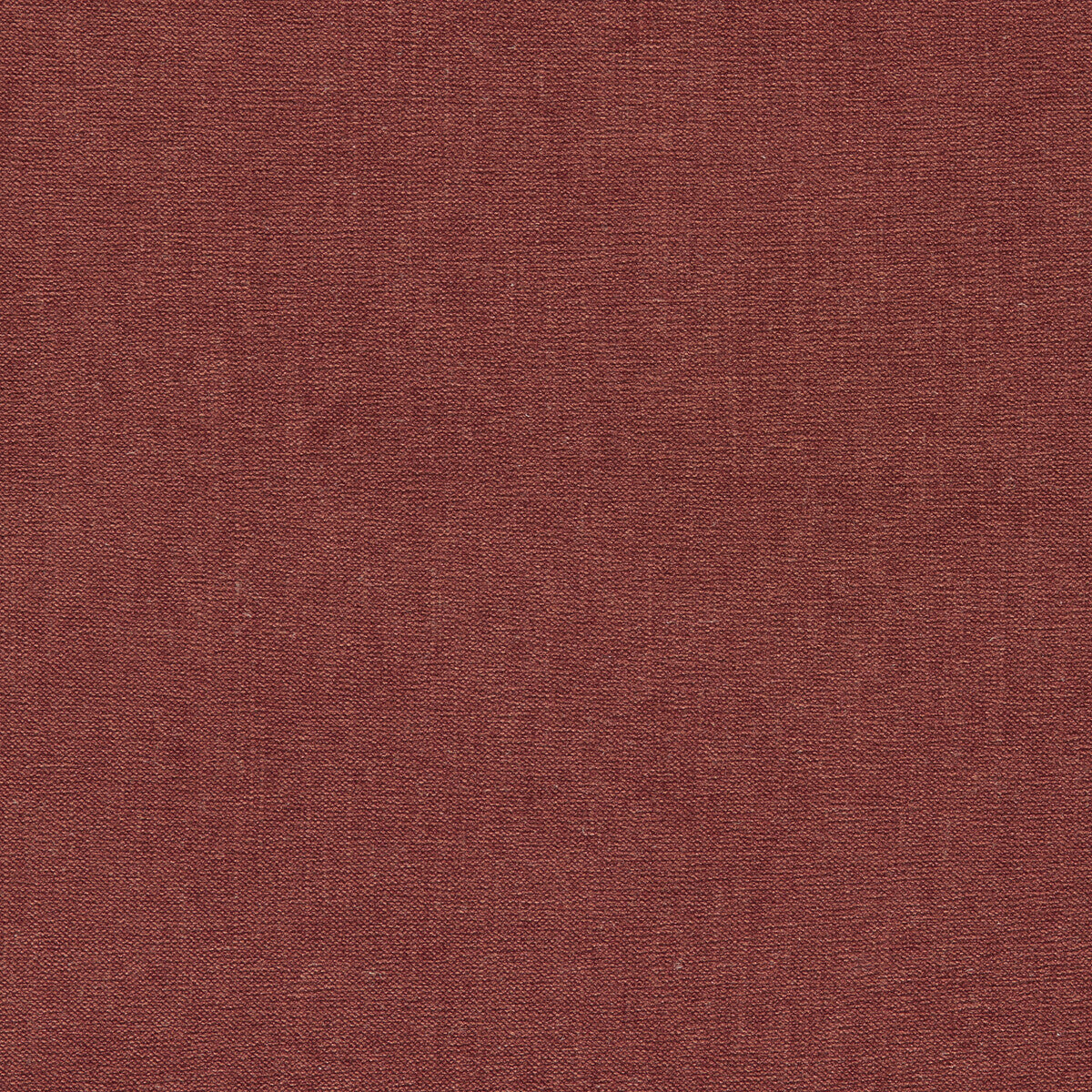CLARKE AND CLARKE JAIPUR RUSSET
