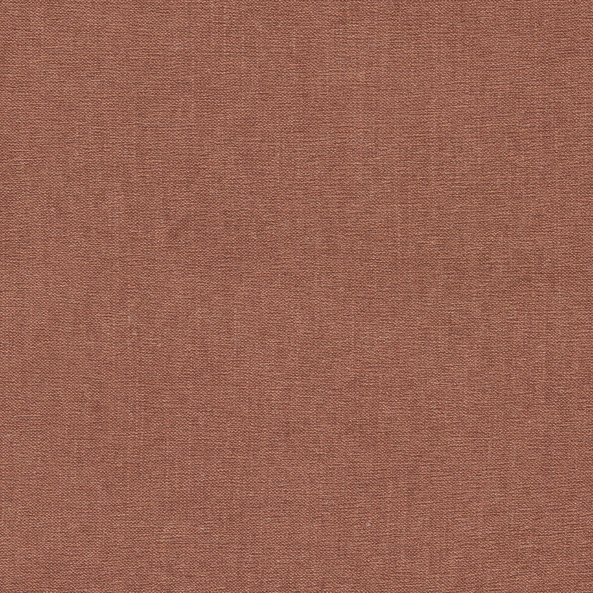 CLARKE AND CLARKE JAIPUR SPICE