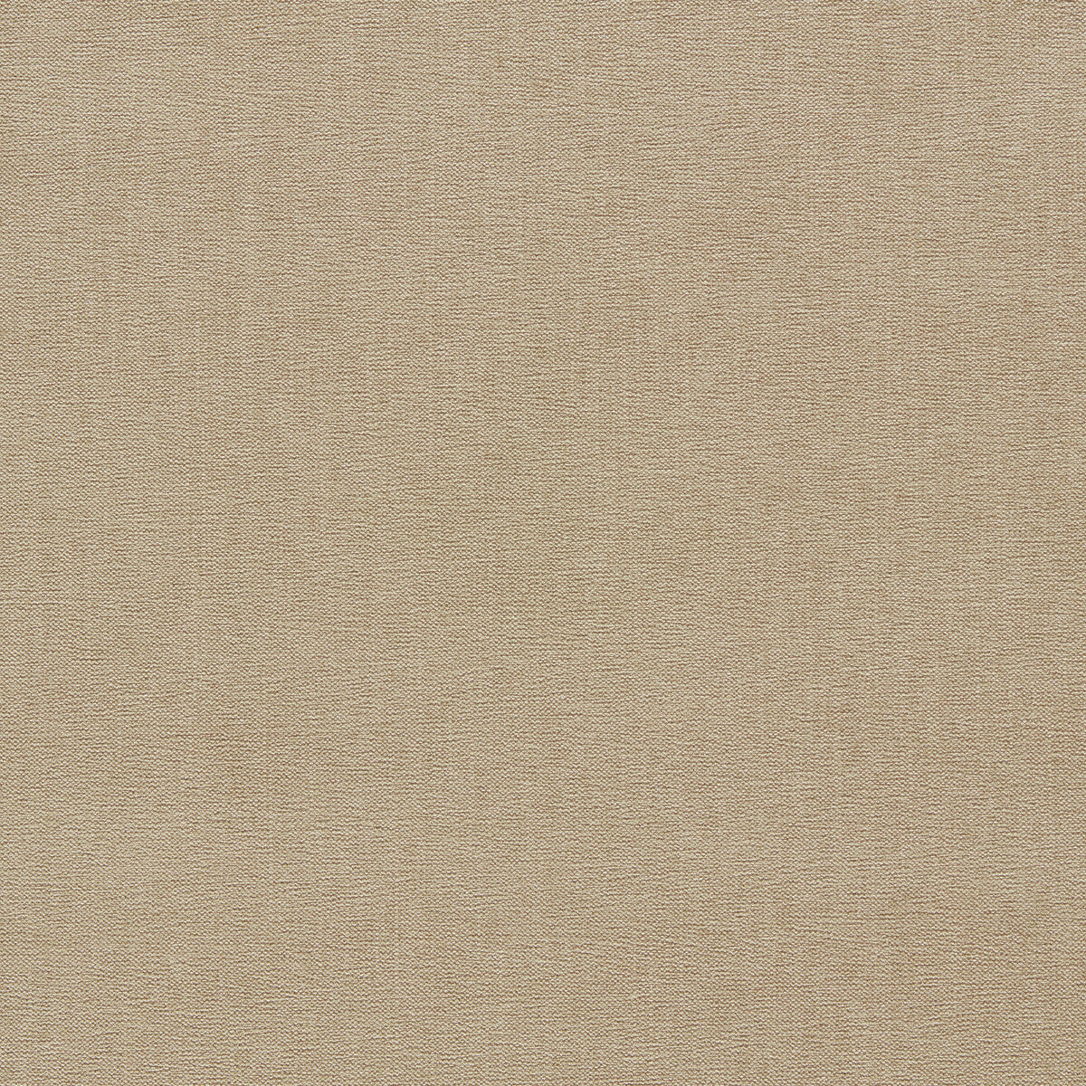 CLARKE AND CLARKE JAIPUR TAUPE