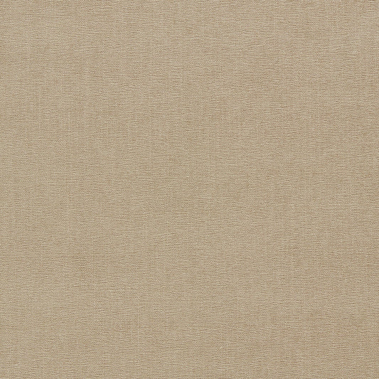 CLARKE AND CLARKE JAIPUR TAUPE