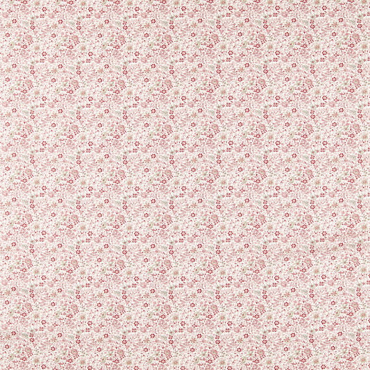CLARKE AND CLARKE GAMTHI BLUSH