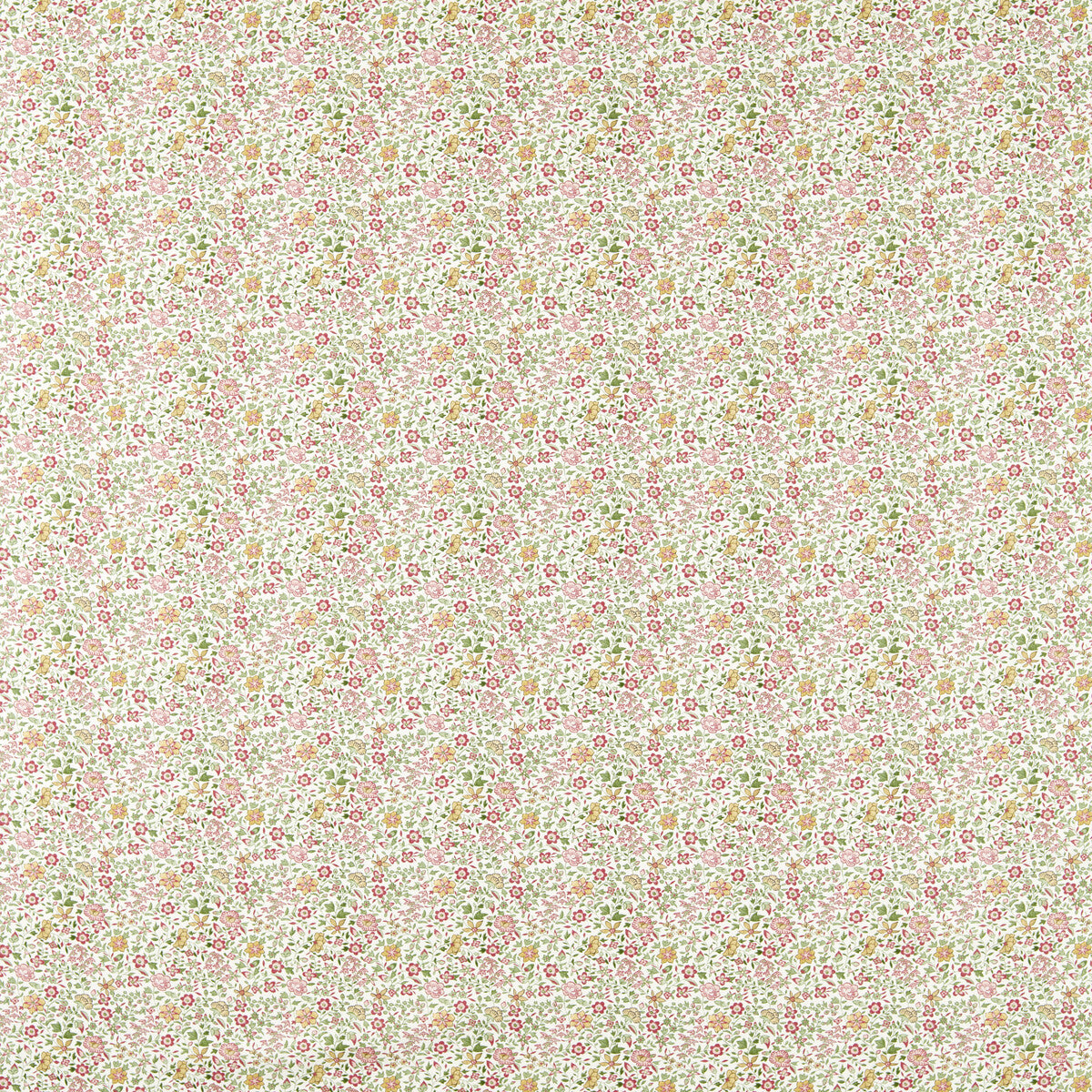 CLARKE AND CLARKE GAMTHI SAGE/BLUSH