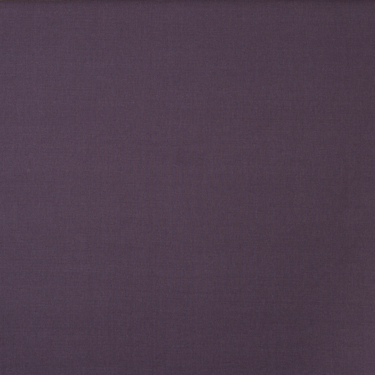 MULBERRY CROMARTY FIG