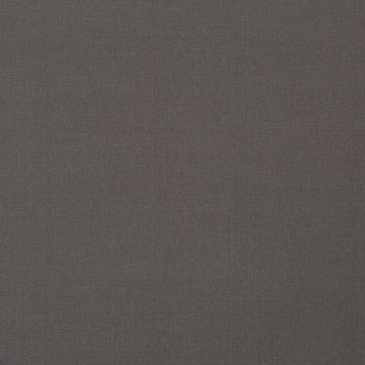 MULBERRY CROMARTY MOLE