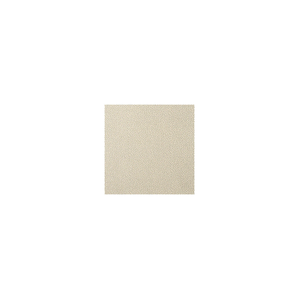 KRAVET CONTRACT FETCH CHAMPAGNE