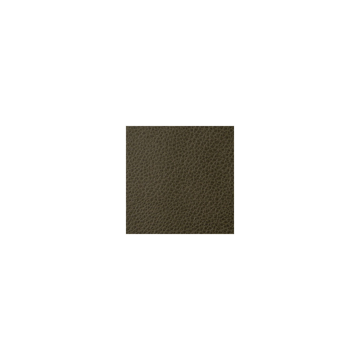 KRAVET CONTRACT FOOTHILL TORTOISE