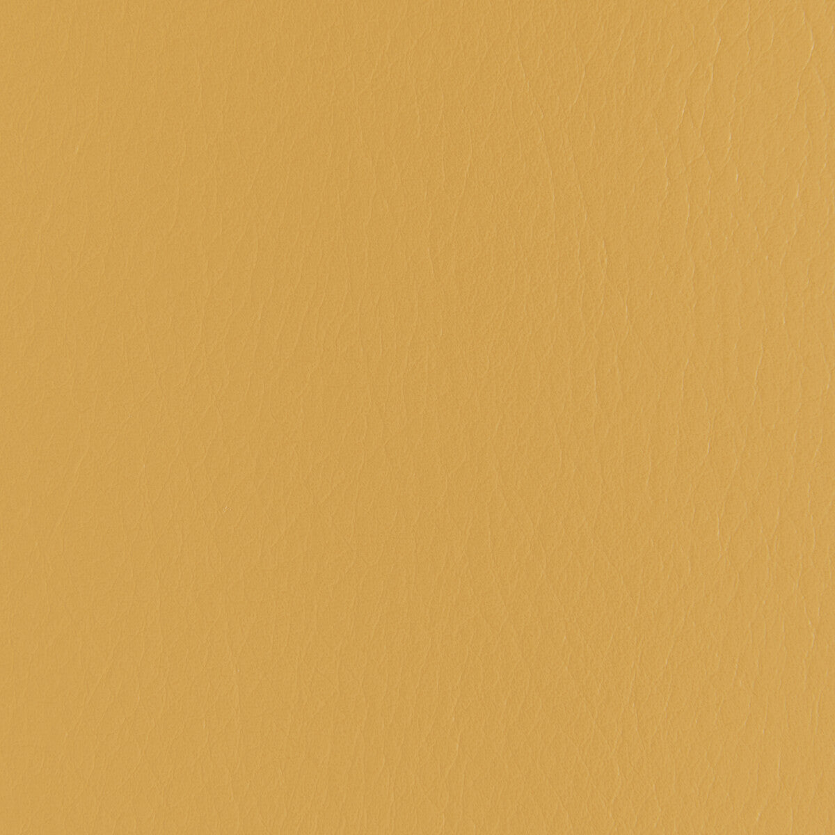 KRAVET CONTRACT FORZA SQUASH