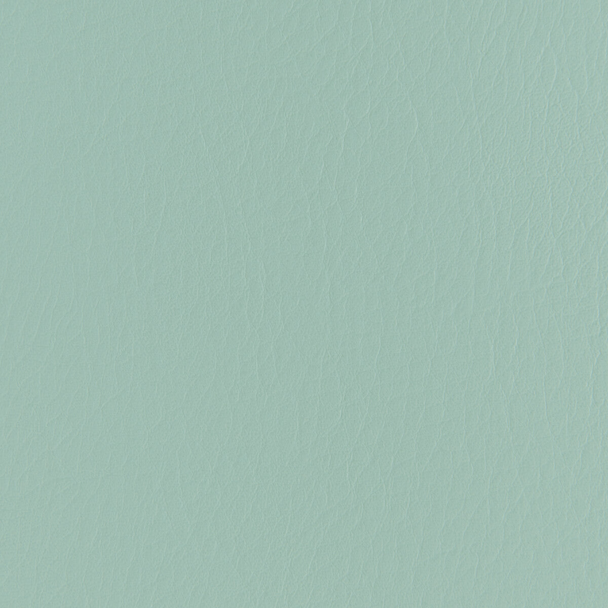 KRAVET CONTRACT FORZA SPEARMINT