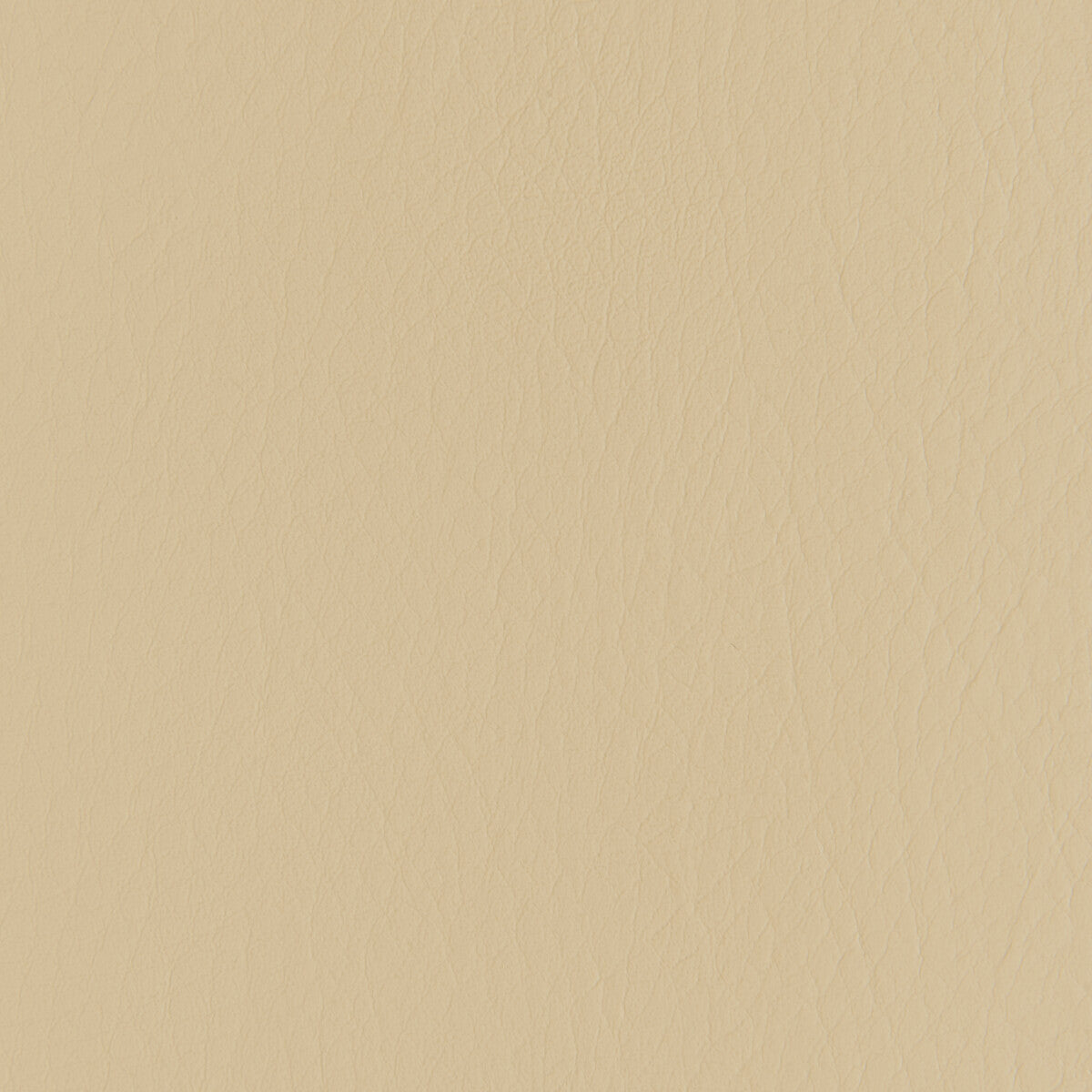 KRAVET CONTRACT FORZA SANDSTONE