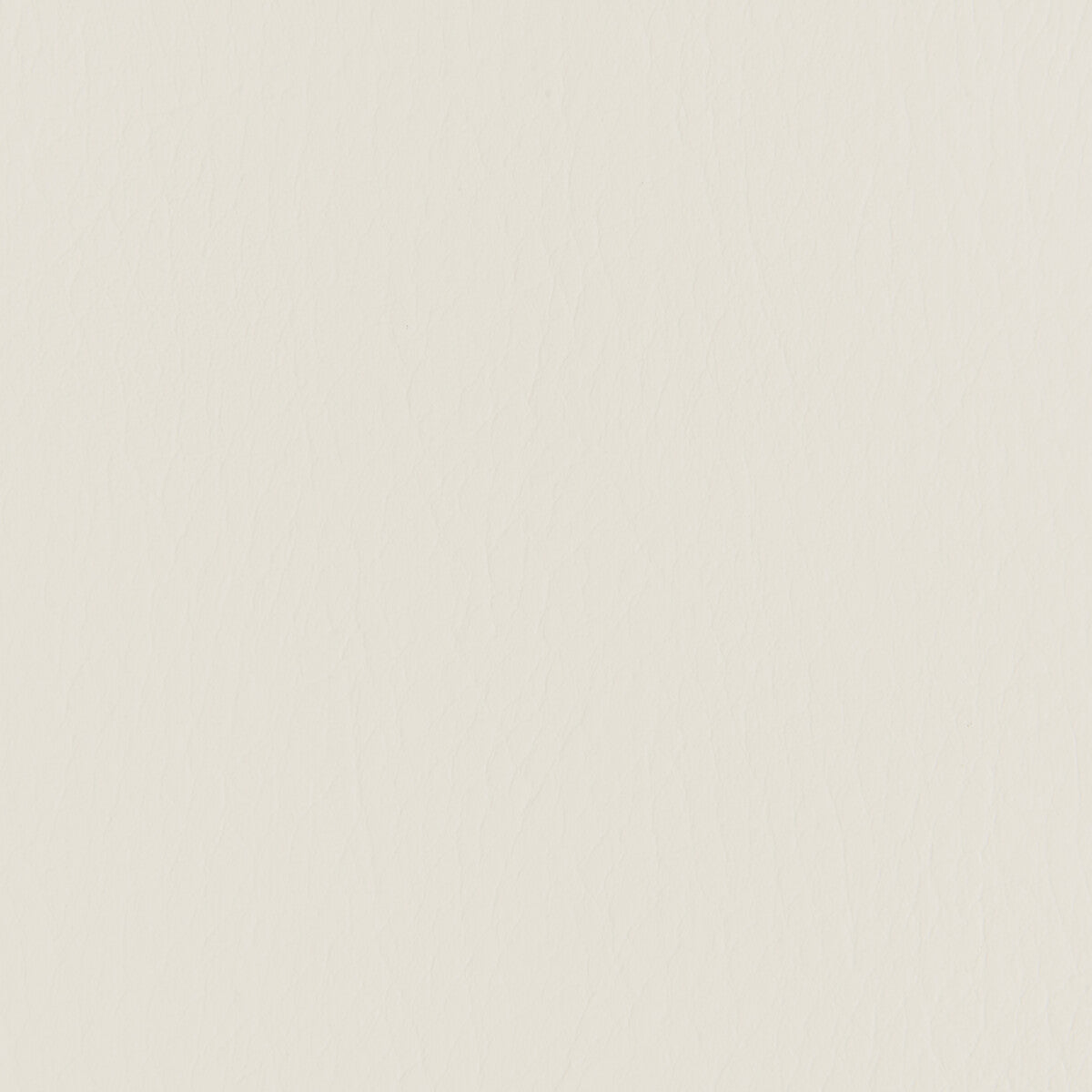 KRAVET CONTRACT FORZA PARCHMENT