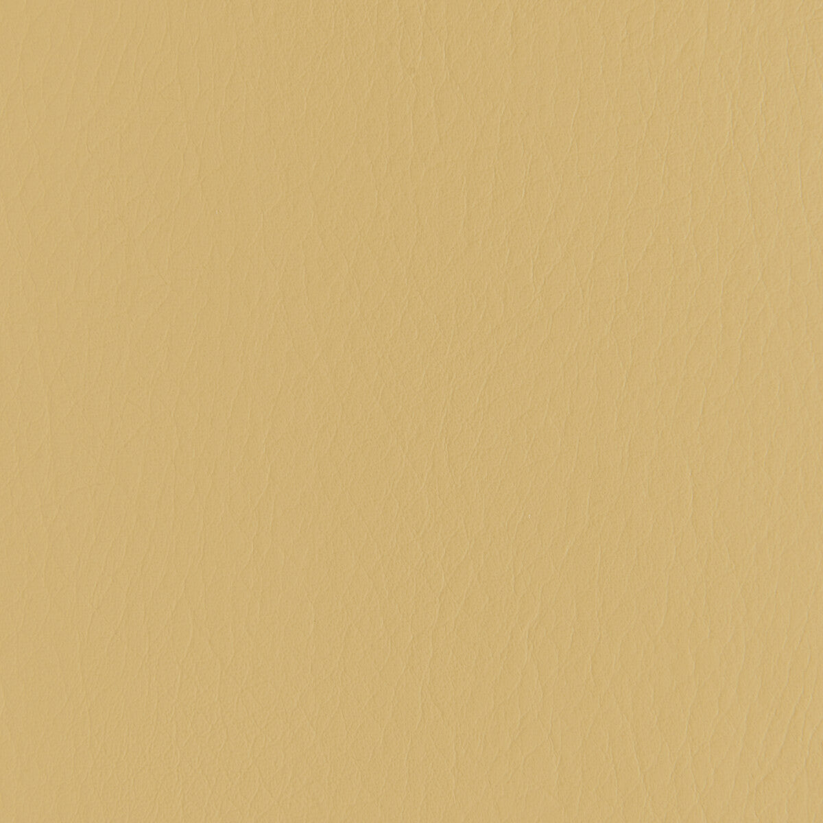 KRAVET CONTRACT FORZA BUTTERSCOTCH
