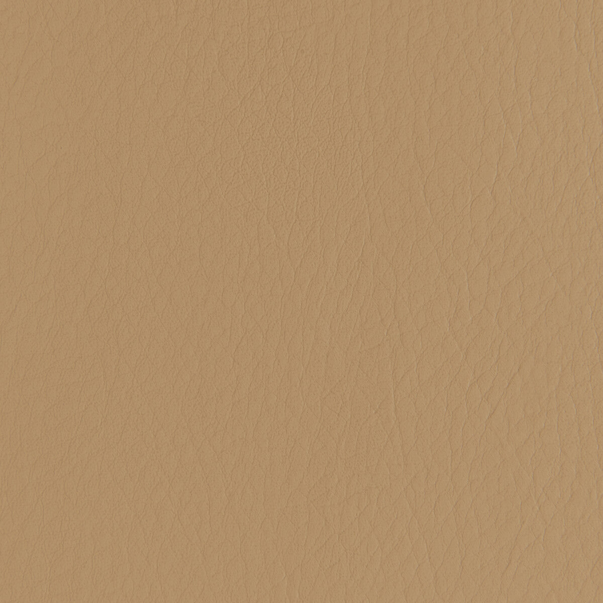 KRAVET CONTRACT FORZA CARAMEL
