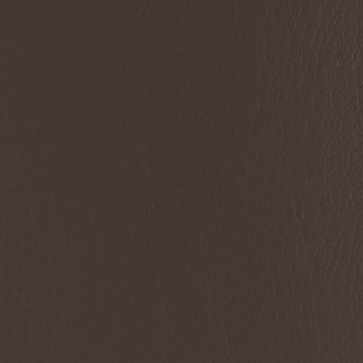 KRAVET CONTRACT FORZA JAVA