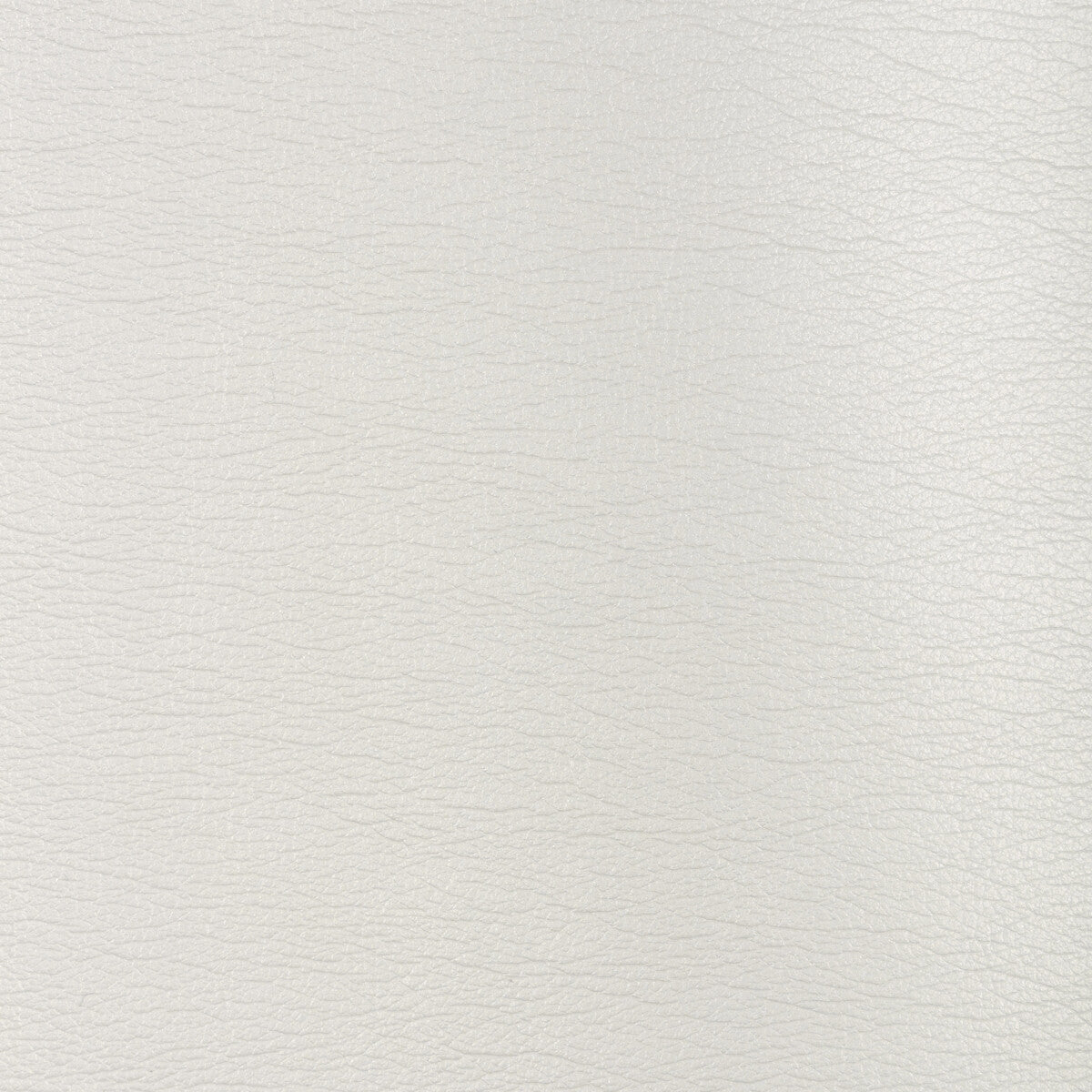KRAVET DESIGN KRAVET DESIGN GALLEON-1