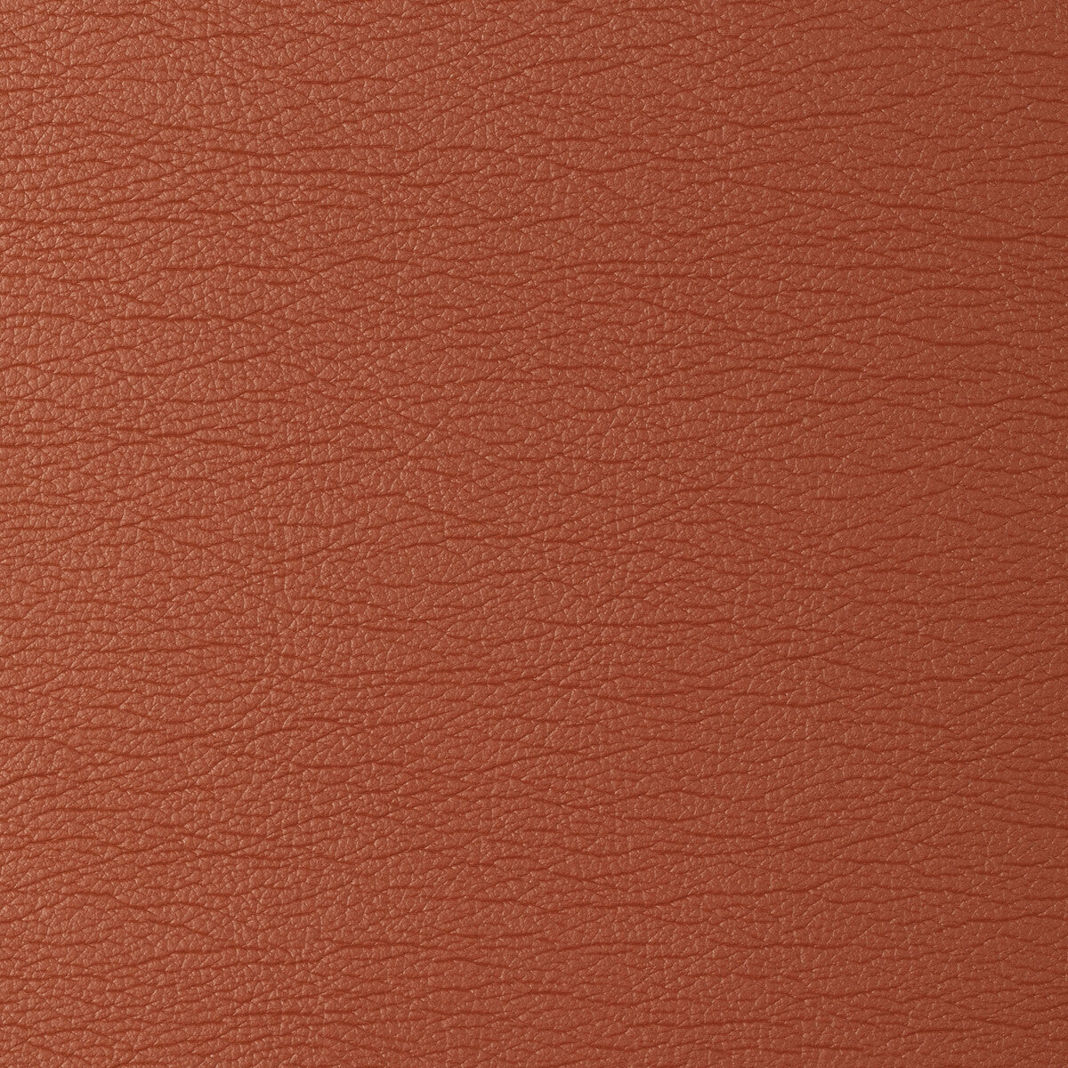 KRAVET DESIGN KRAVET DESIGN GATO-12