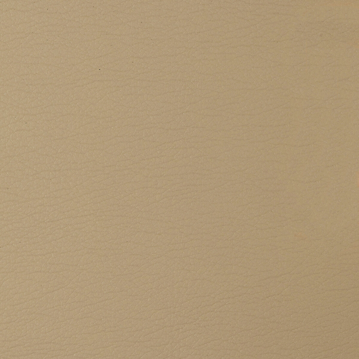 KRAVET DESIGN KRAVET DESIGN GATO-1416