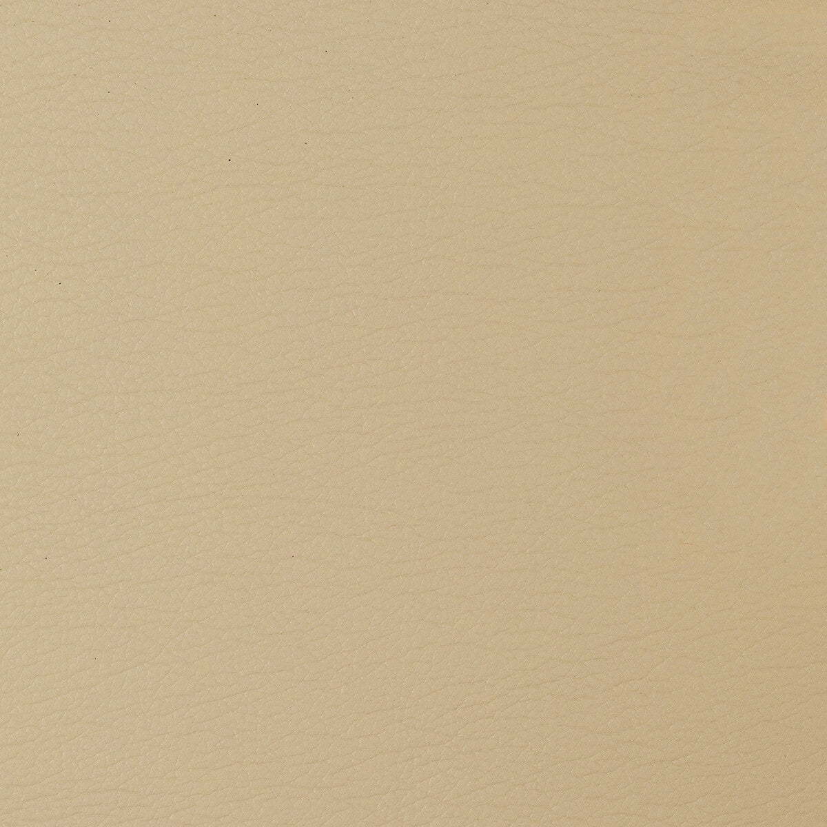 KRAVET DESIGN KRAVET DESIGN GATO-1616