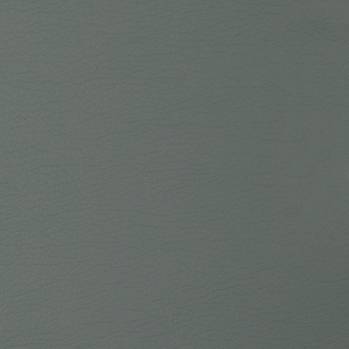 KRAVET DESIGN KRAVET DESIGN GATO-2111
